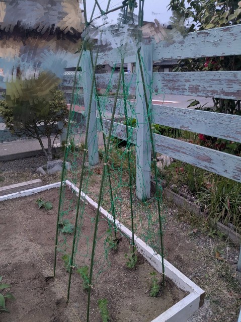 f:id:nonnonpapa:20250521141500j:image