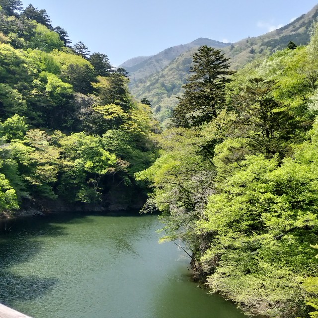 f:id:nonnonpapa:20250611143232j:image