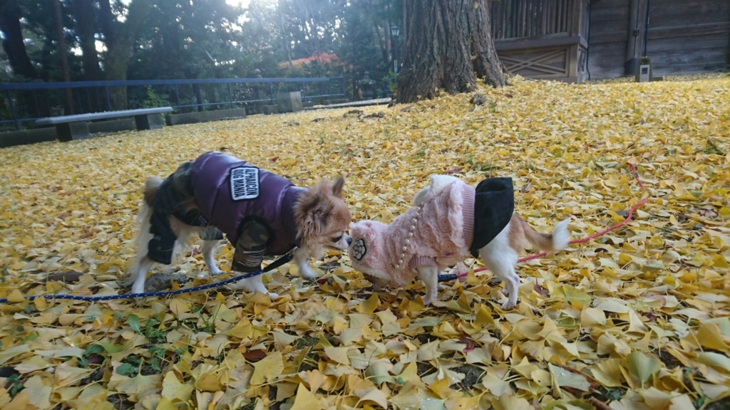 f:id:nonnontink:20171124023418j:plain