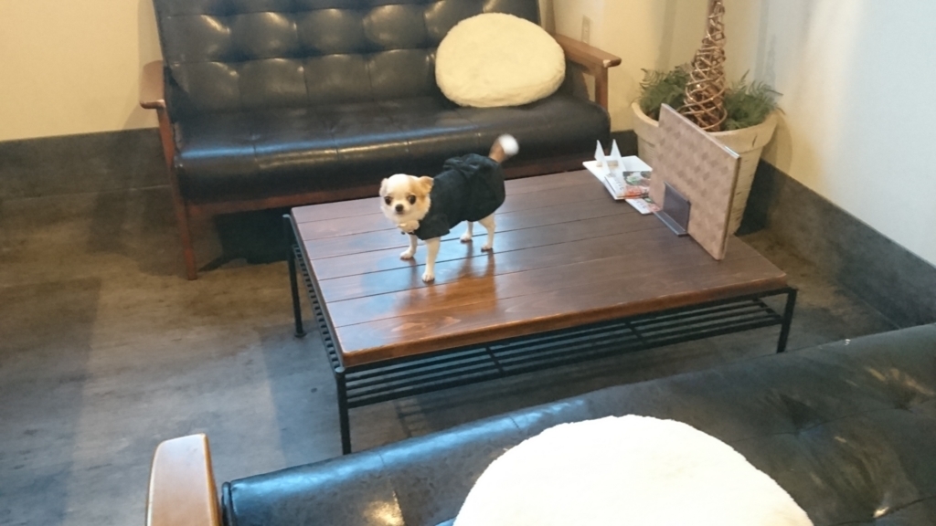 f:id:nonnontink:20171124024730j:plain