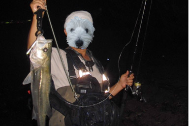 f:id:nono210:20100819022719j:image f:id:nono210:20100819022719j:image