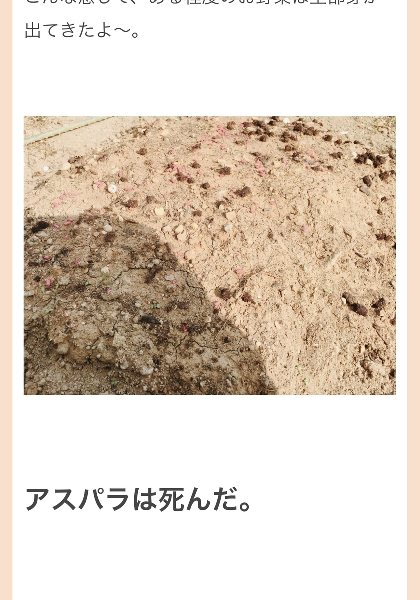 f:id:nononouka:20190528205027j:plain