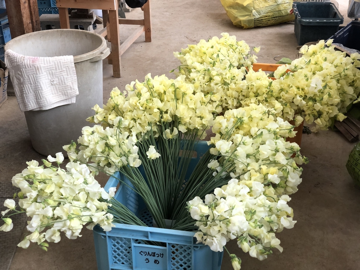 f:id:nononouka:20191113171807j:plain