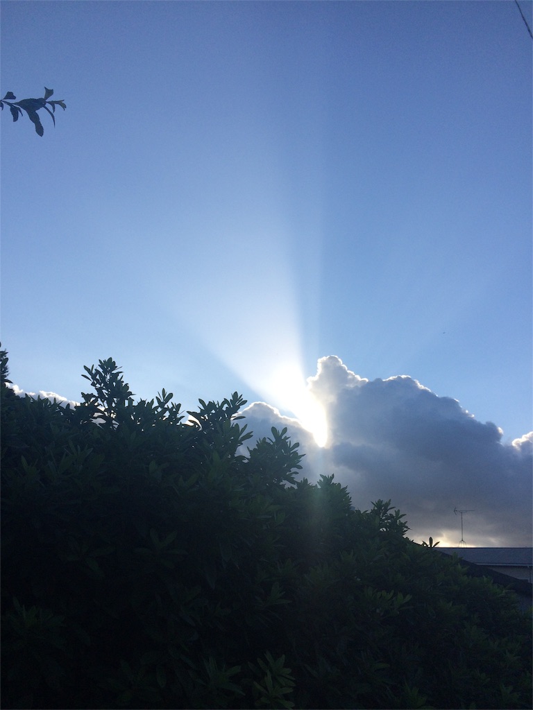 f:id:nonori22:20160830145656j:image f:id:nonori22:20160830145656j:image