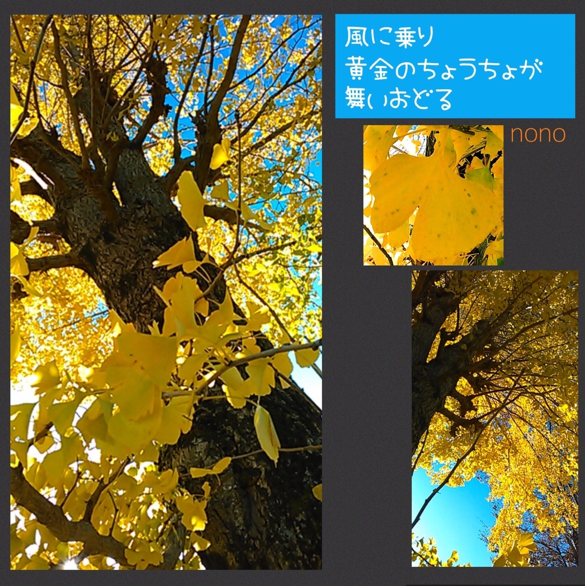 f:id:nonorikka:20191130094837j:plain