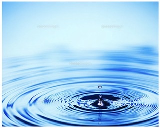 f:id:nonorikka:20220227095402j:plain