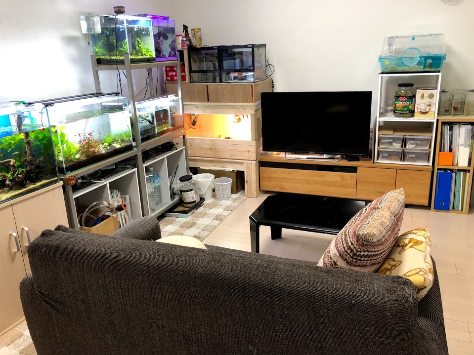 f:id:nonosuki:20180708163807j:plain f:id:nonosuki:20180708163807j:plain