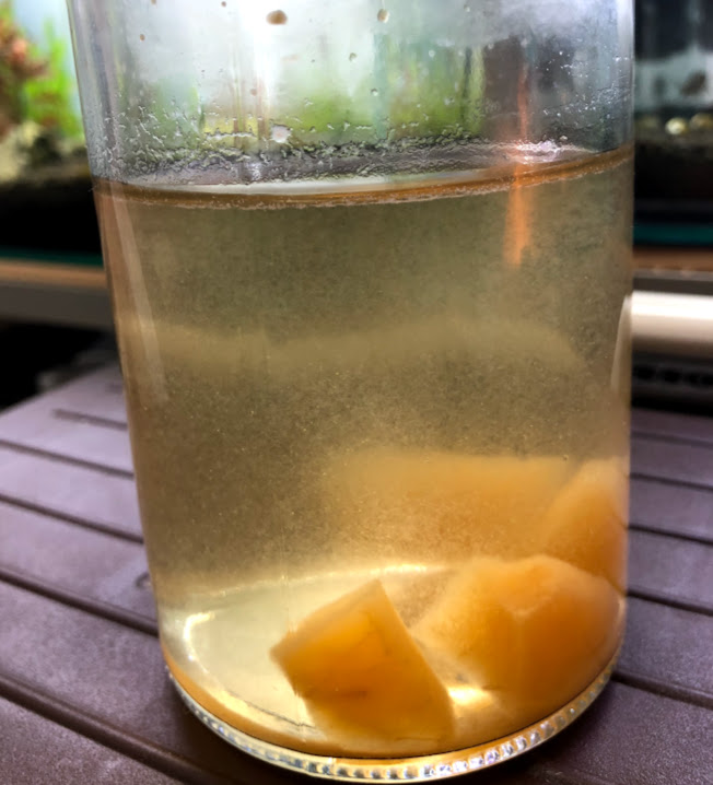 f:id:nonosuki:20180722143118j:plain f:id:nonosuki:20180722143118j:plain