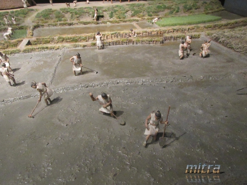 f:id:nonoty32a:20170908160621j:plain