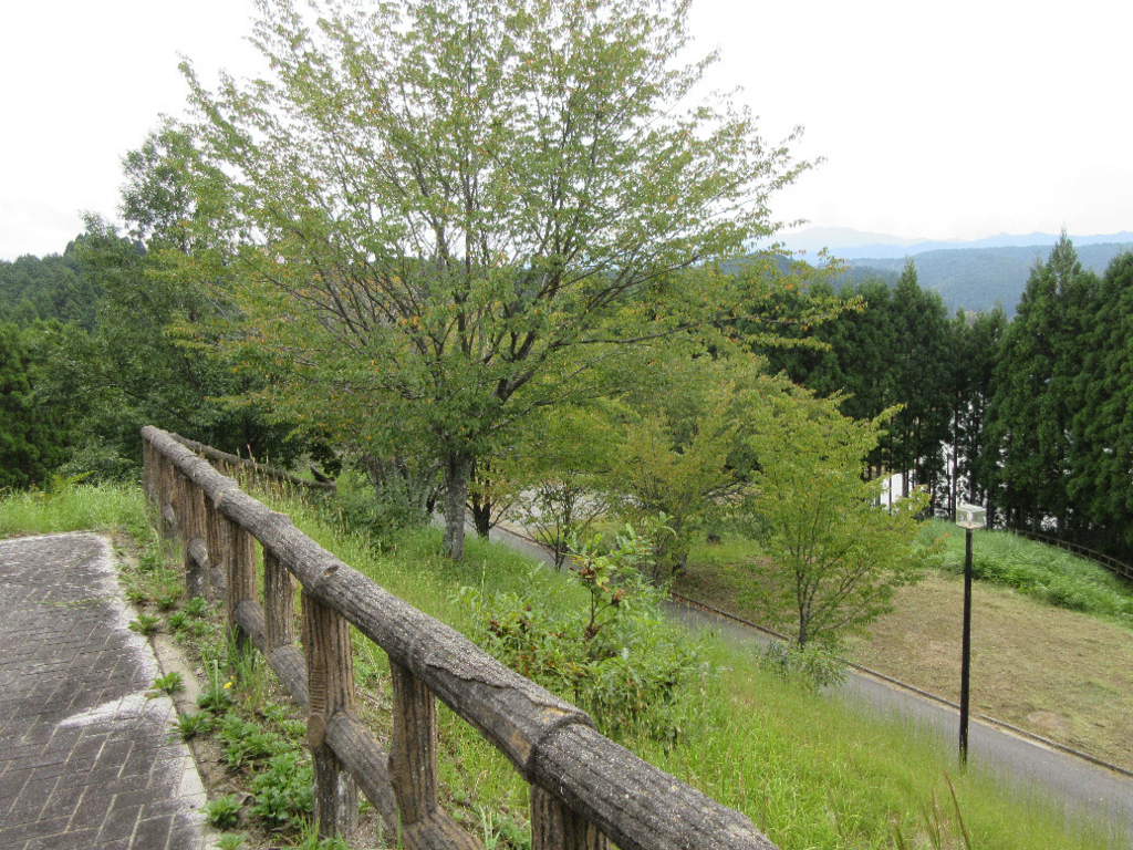 f:id:nonoty32a:20170925155352j:plain