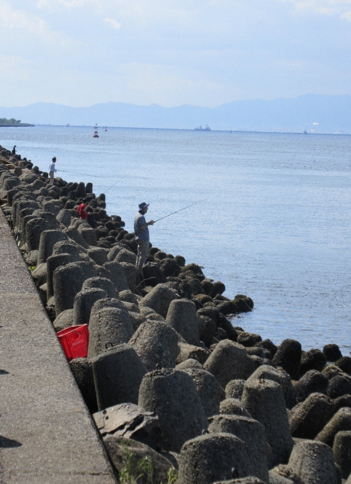 f:id:nonoty32a:20171114132833j:plain f:id:nonoty32a:20171114132833j:plain