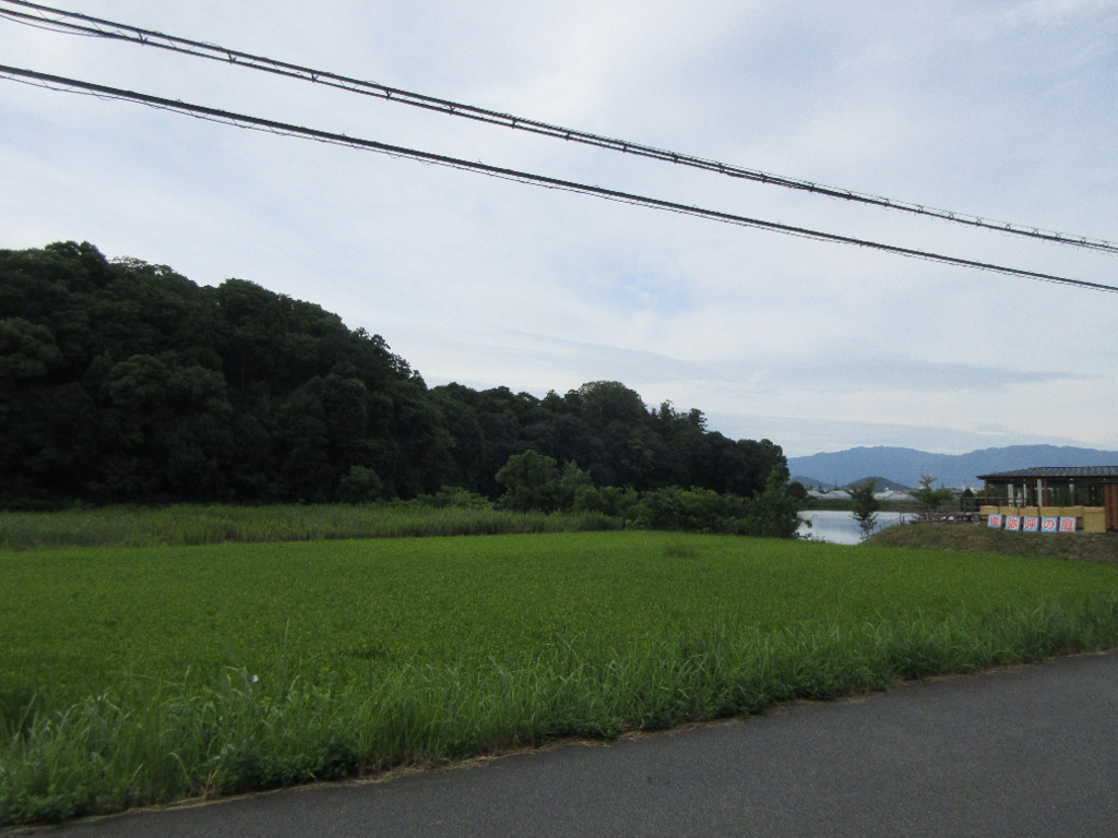 f:id:nonoty32a:20171207140429j:plain