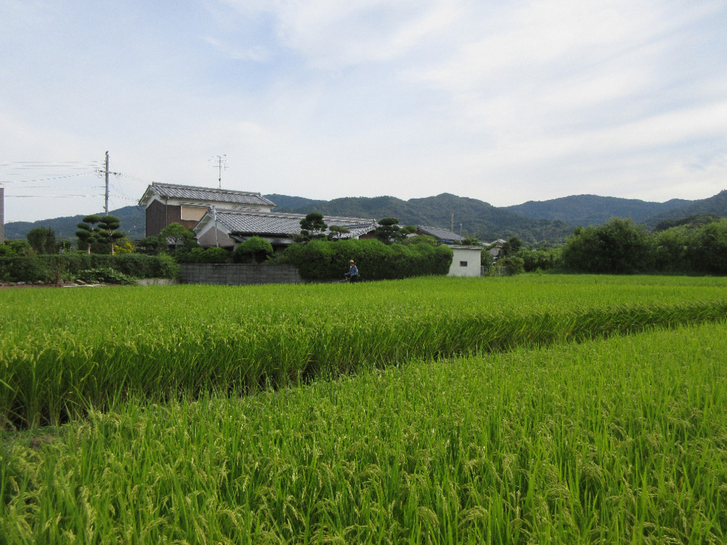 f:id:nonoty32a:20171207140635j:plain