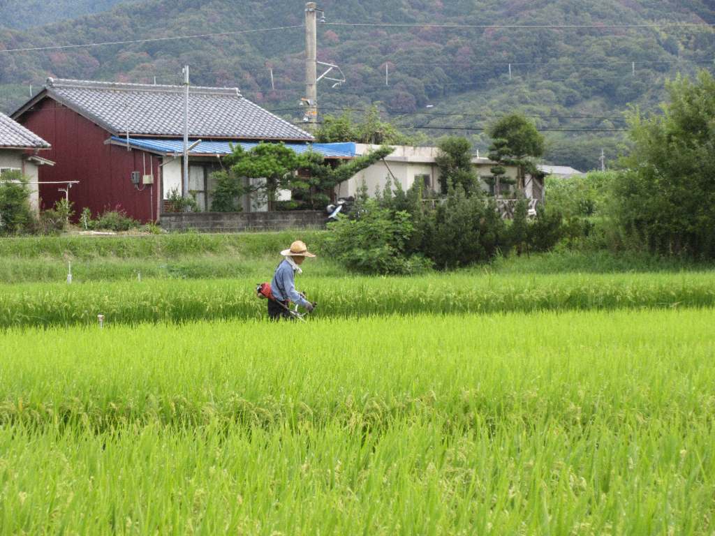 f:id:nonoty32a:20171207140719j:plain