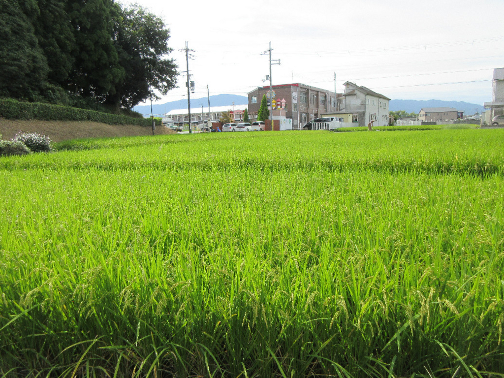 f:id:nonoty32a:20171207141506j:plain