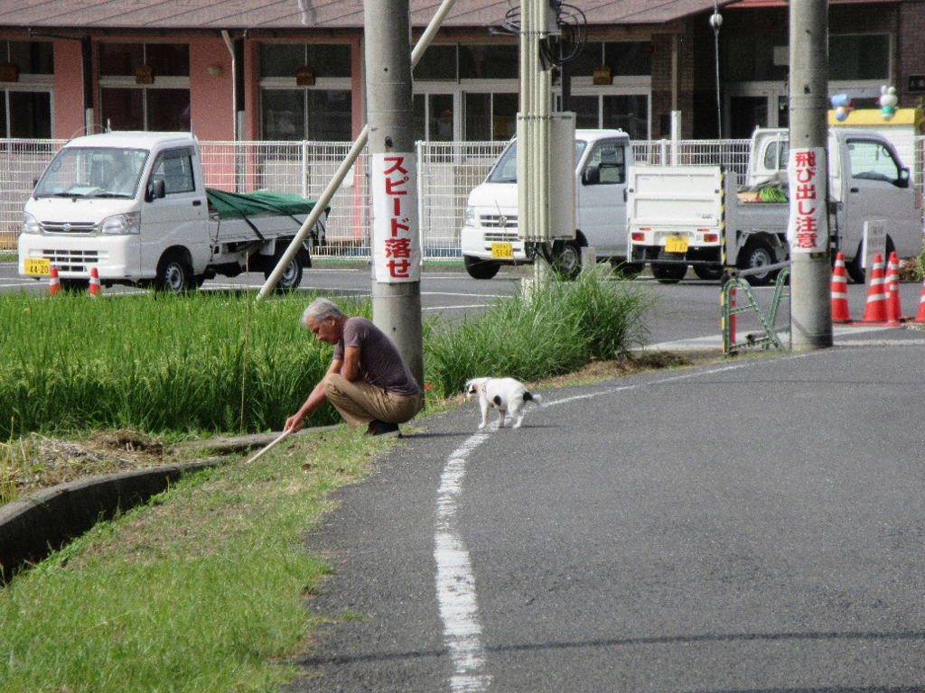 f:id:nonoty32a:20171207141554j:plain