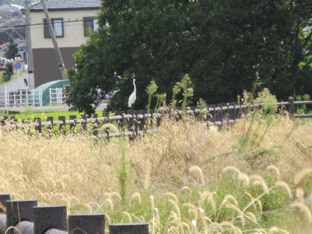 f:id:nonoty32a:20171207142358j:plain