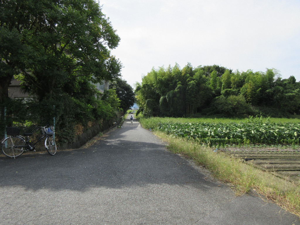 f:id:nonoty32a:20171207142606j:plain