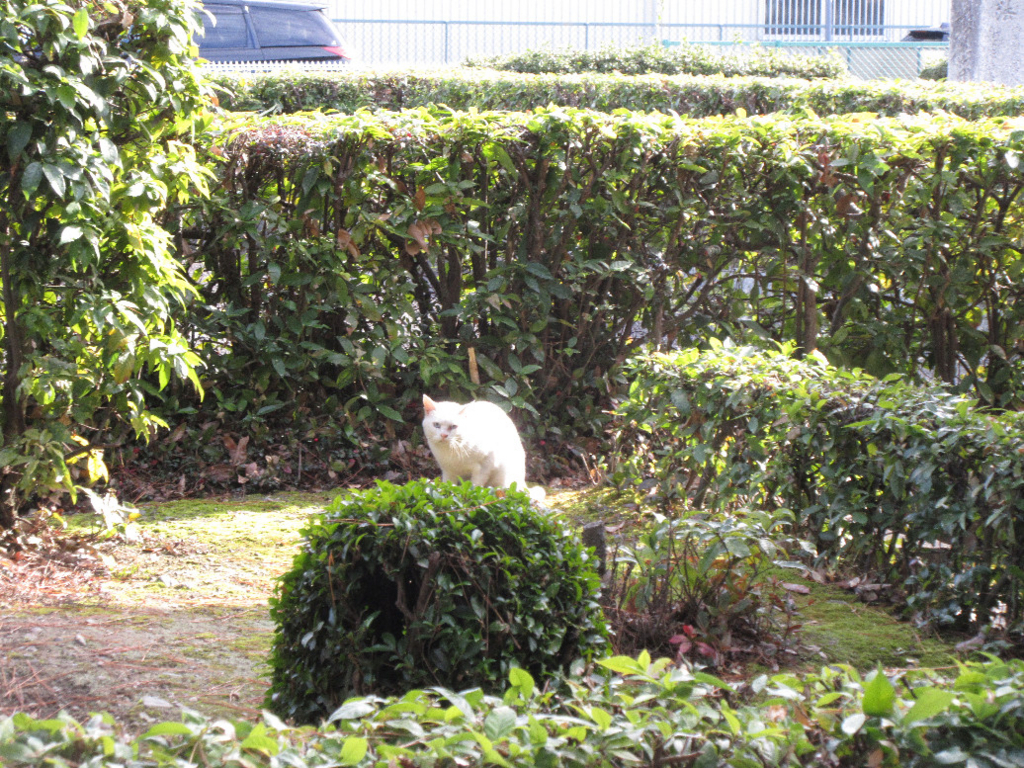 f:id:nonoty32a:20171213145003j:plain