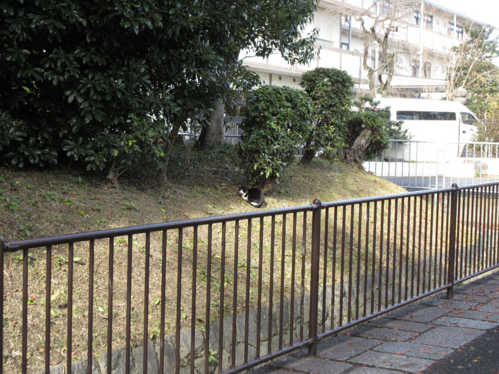 f:id:nonoty32a:20171213145316j:plain