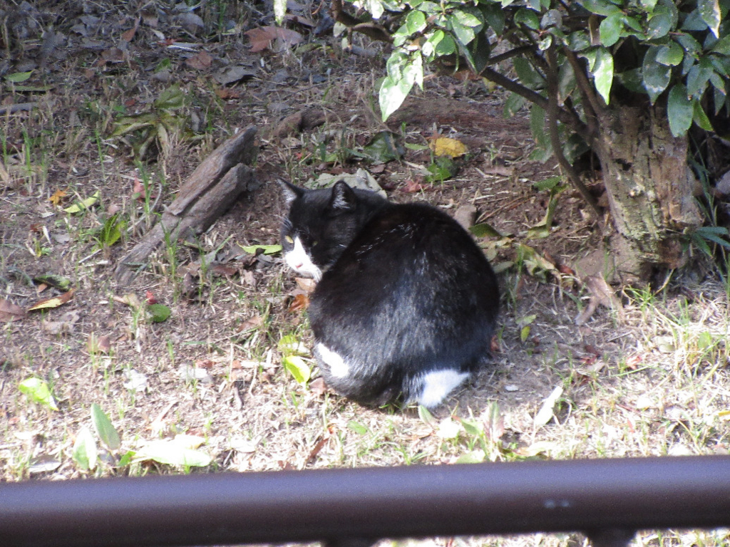 f:id:nonoty32a:20171213145349j:plain