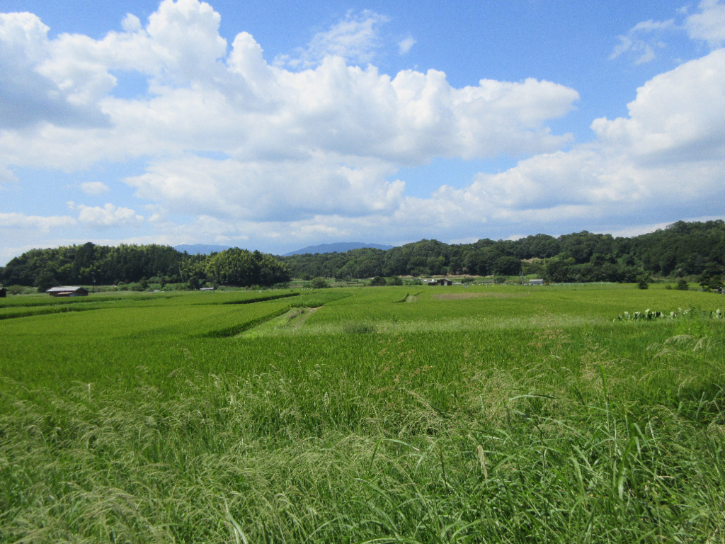 f:id:nonoty32a:20171224144610j:plain