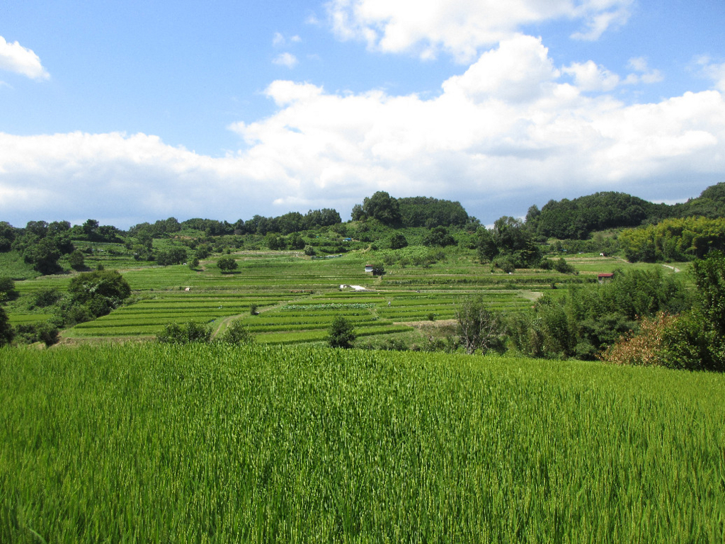 f:id:nonoty32a:20171224144714j:plain