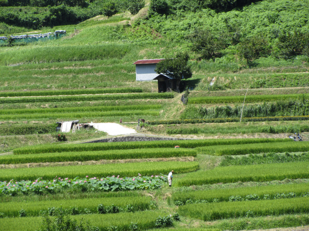 f:id:nonoty32a:20171224144850j:plain