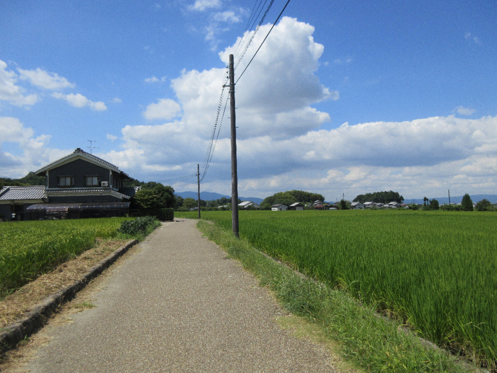 f:id:nonoty32a:20171224145054j:plain