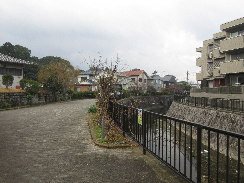 f:id:nonoty32a:20180106134556j:plain