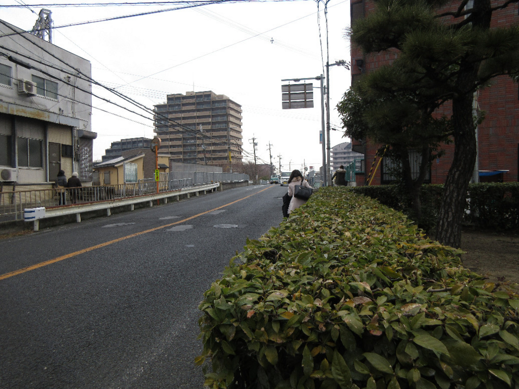 f:id:nonoty32a:20180106134934j:plain