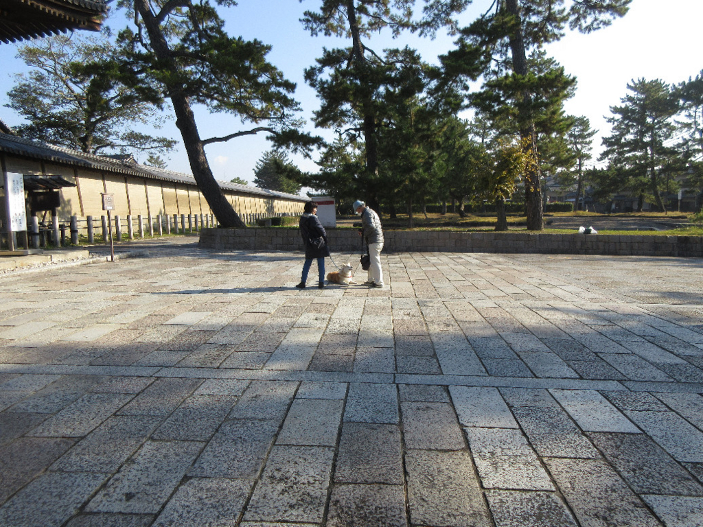 f:id:nonoty32a:20180228202432j:plain