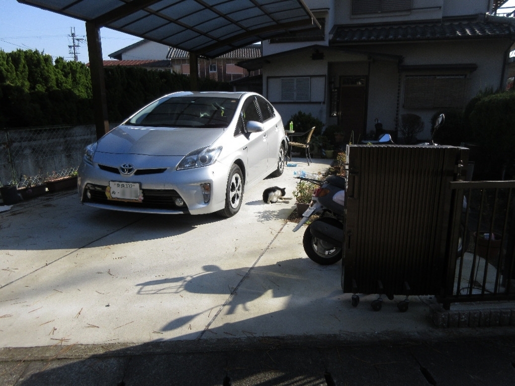 f:id:nonoty32a:20180228202608j:plain