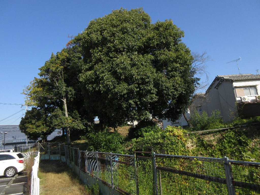 f:id:nonoty32a:20180228203650j:plain