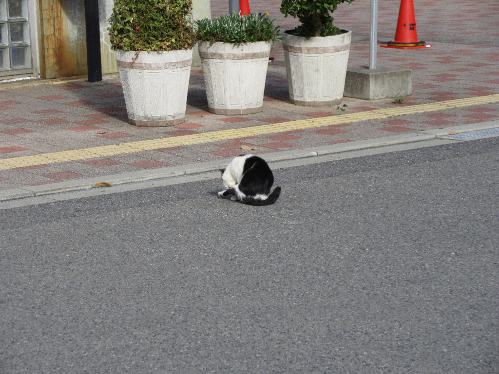 f:id:nonoty32a:20180304192300j:plain