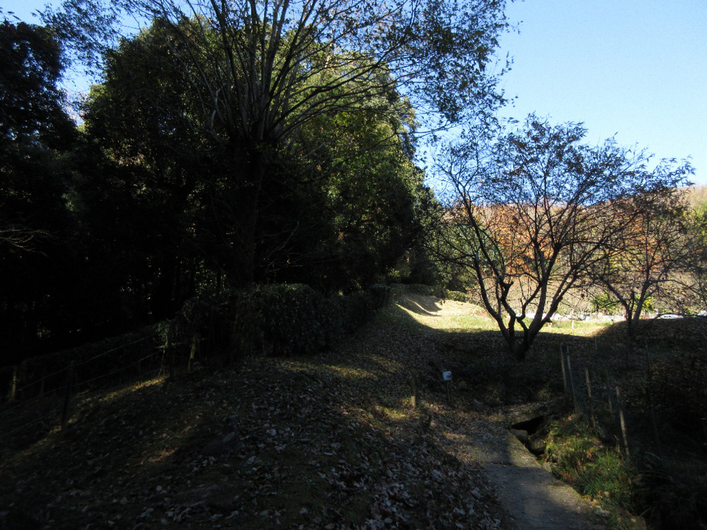 f:id:nonoty32a:20180307124842j:plain