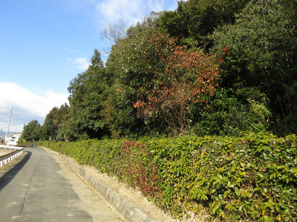 f:id:nonoty32a:20180309194631j:plain