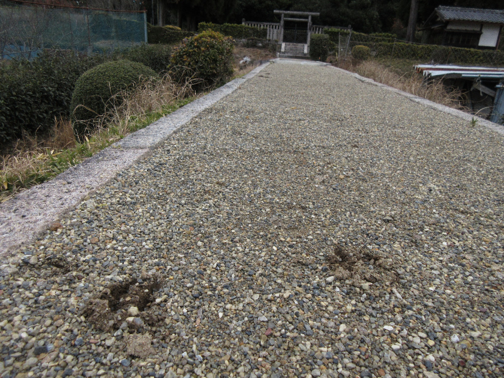 f:id:nonoty32a:20180309195213j:plain