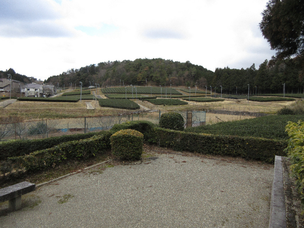 f:id:nonoty32a:20180309195345j:plain