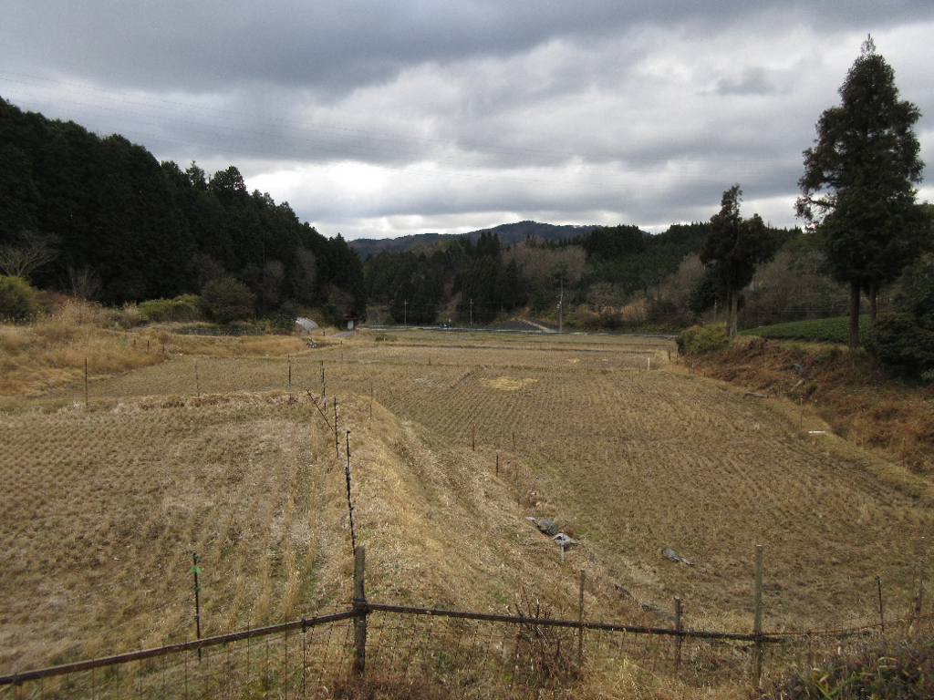 f:id:nonoty32a:20180309201220j:plain