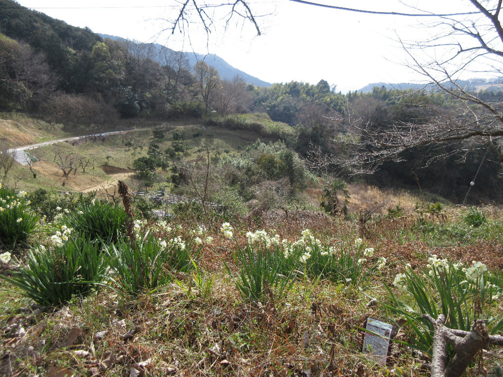 f:id:nonoty32a:20180313125653j:plain