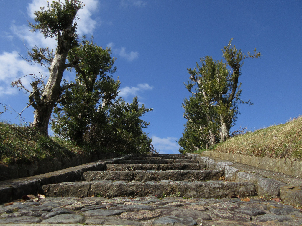 f:id:nonoty32a:20180321143714j:plain