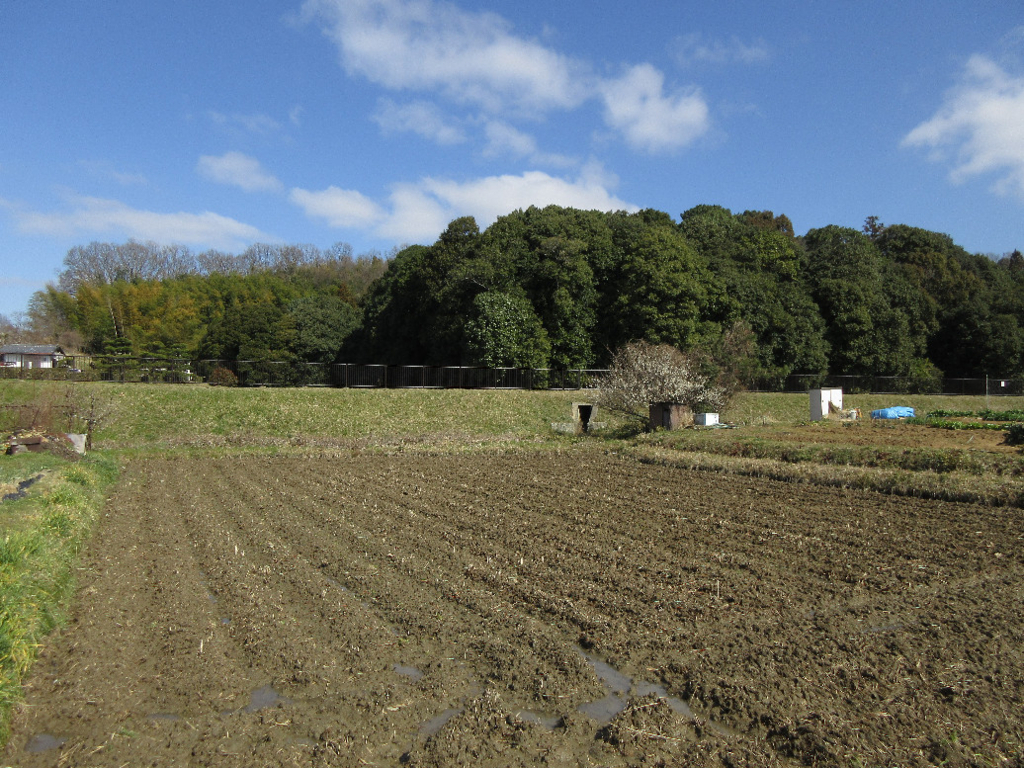 f:id:nonoty32a:20180321144619j:plain