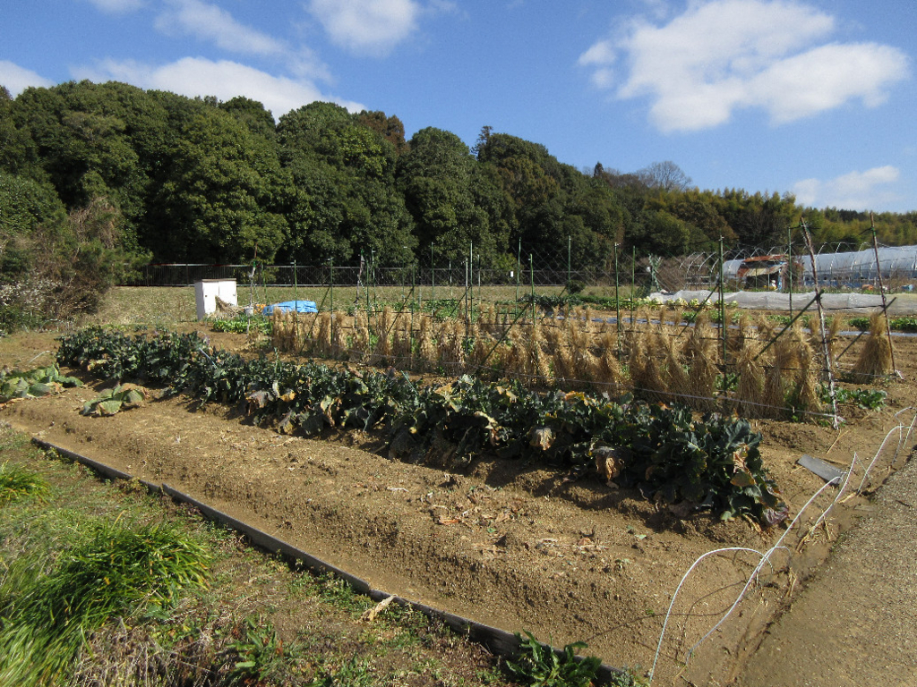 f:id:nonoty32a:20180321144816j:plain