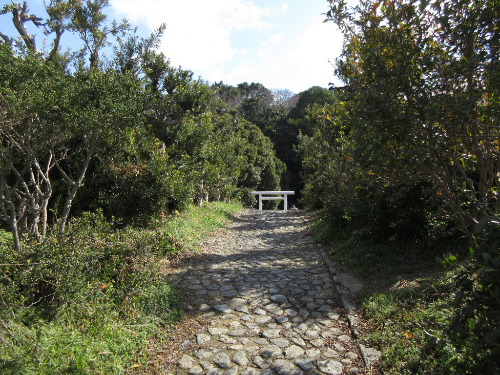 f:id:nonoty32a:20180321145312j:plain