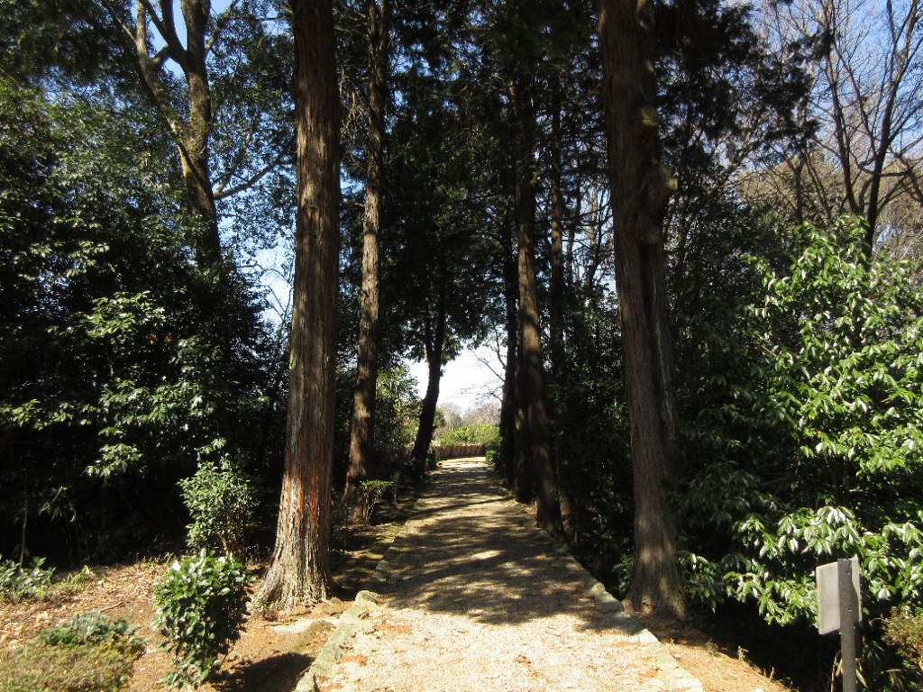 f:id:nonoty32a:20180325131132j:plain