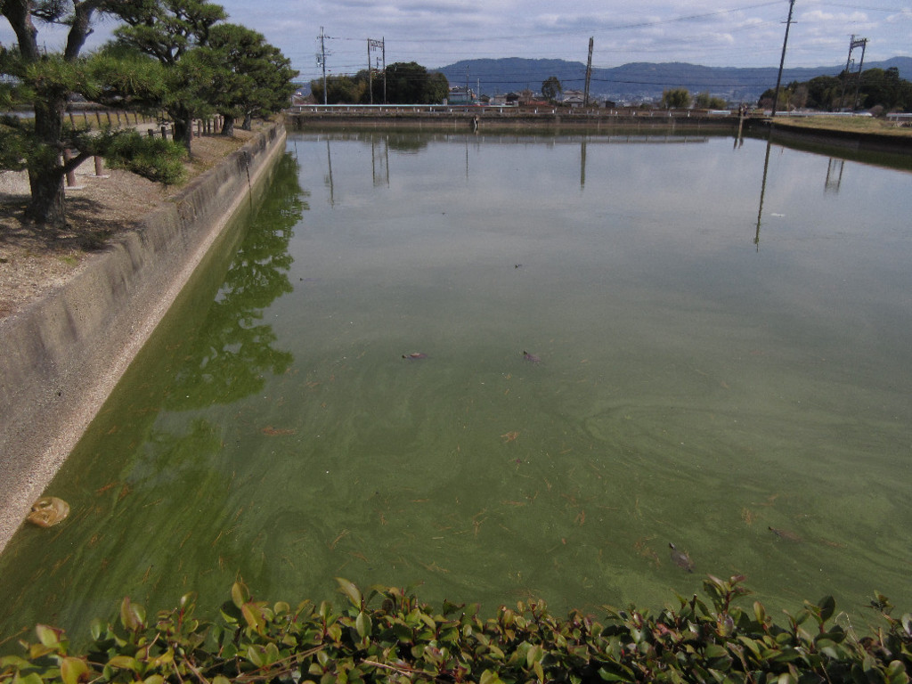 f:id:nonoty32a:20180405125857j:plain