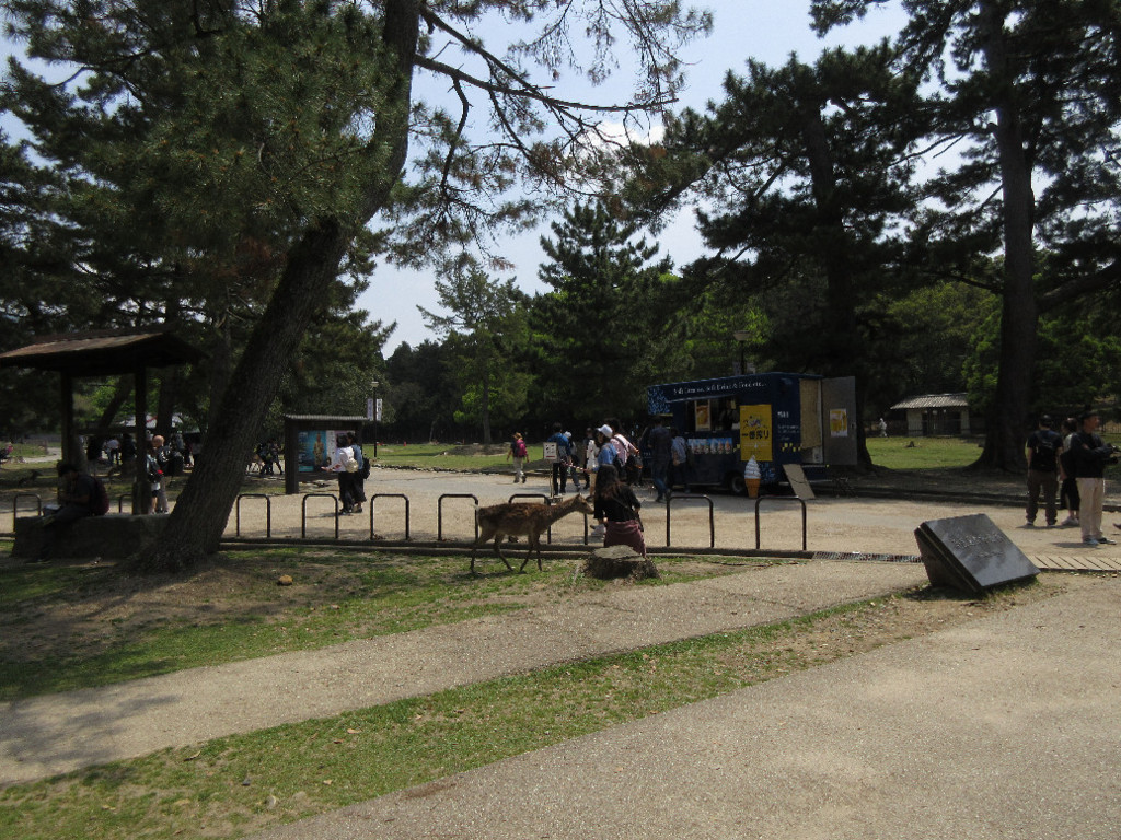 f:id:nonoty32a:20180520141821j:plain