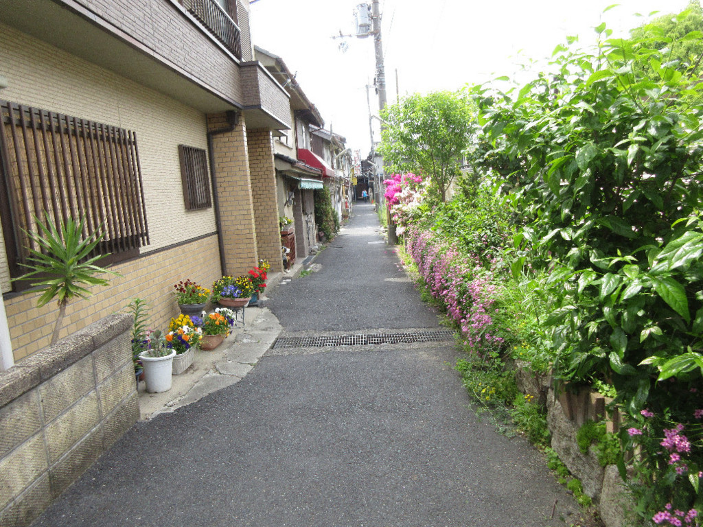 f:id:nonoty32a:20180520150029j:plain