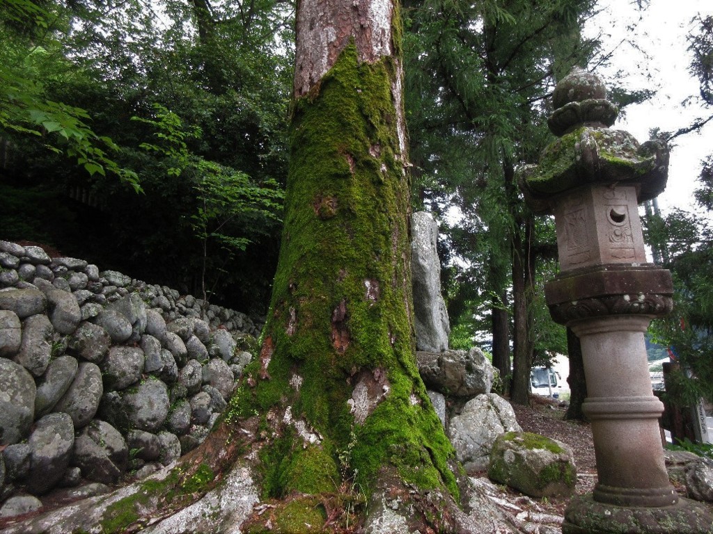 f:id:nonoty32a:20180602095639j:plain